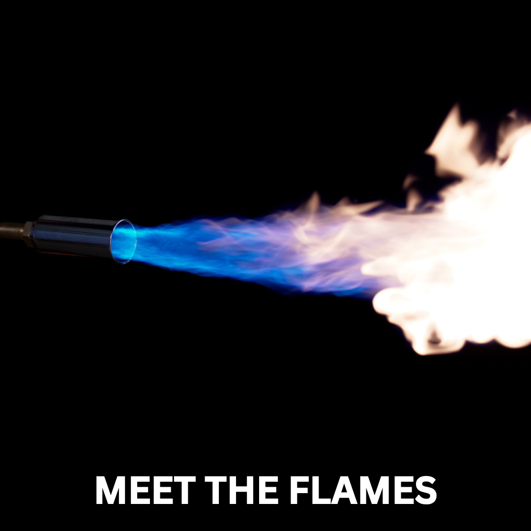 Meet the Flames