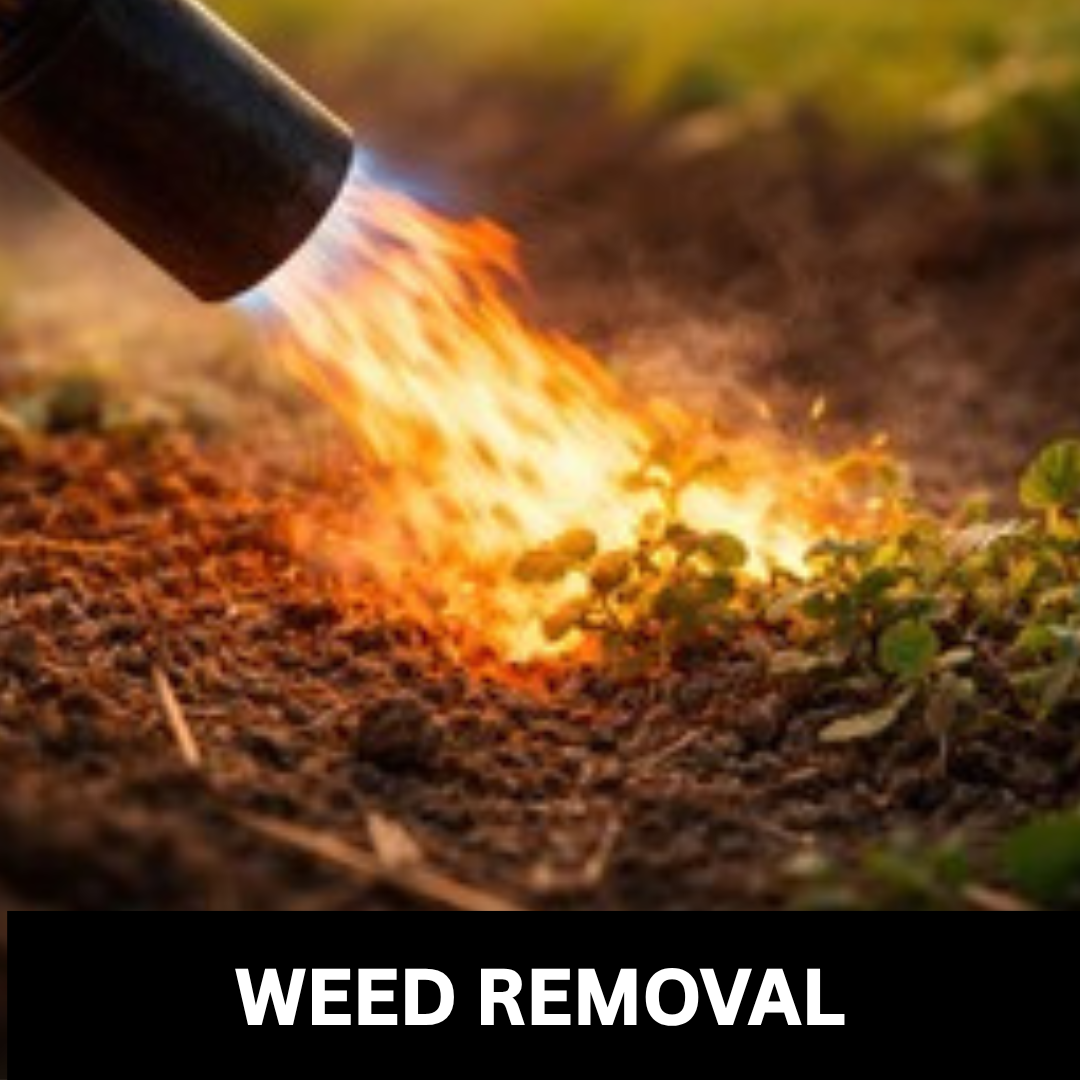 Weed Removal