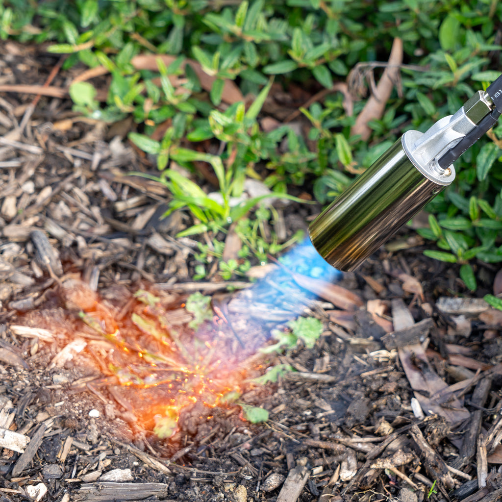 Weed Warrior Gas Torch